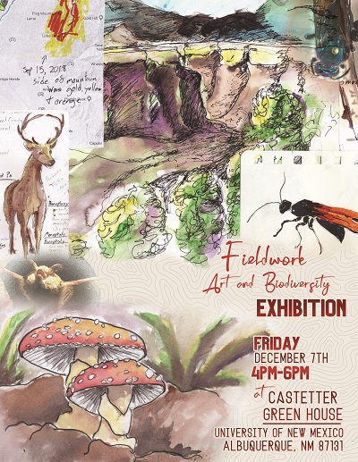 Poster for Fieldwork Art and Biodiversity Exhibition