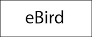 ebird