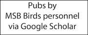 Google Scholar personnel