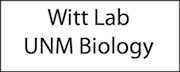 Witt Lab
