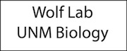 Wolf Lab