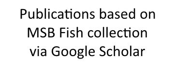 Google Scholar collection-based