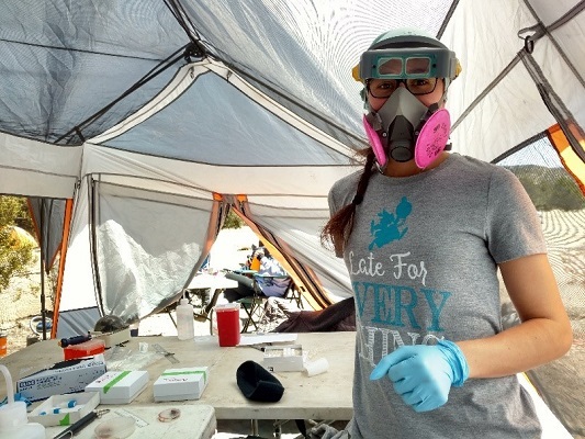 student working in the field tent