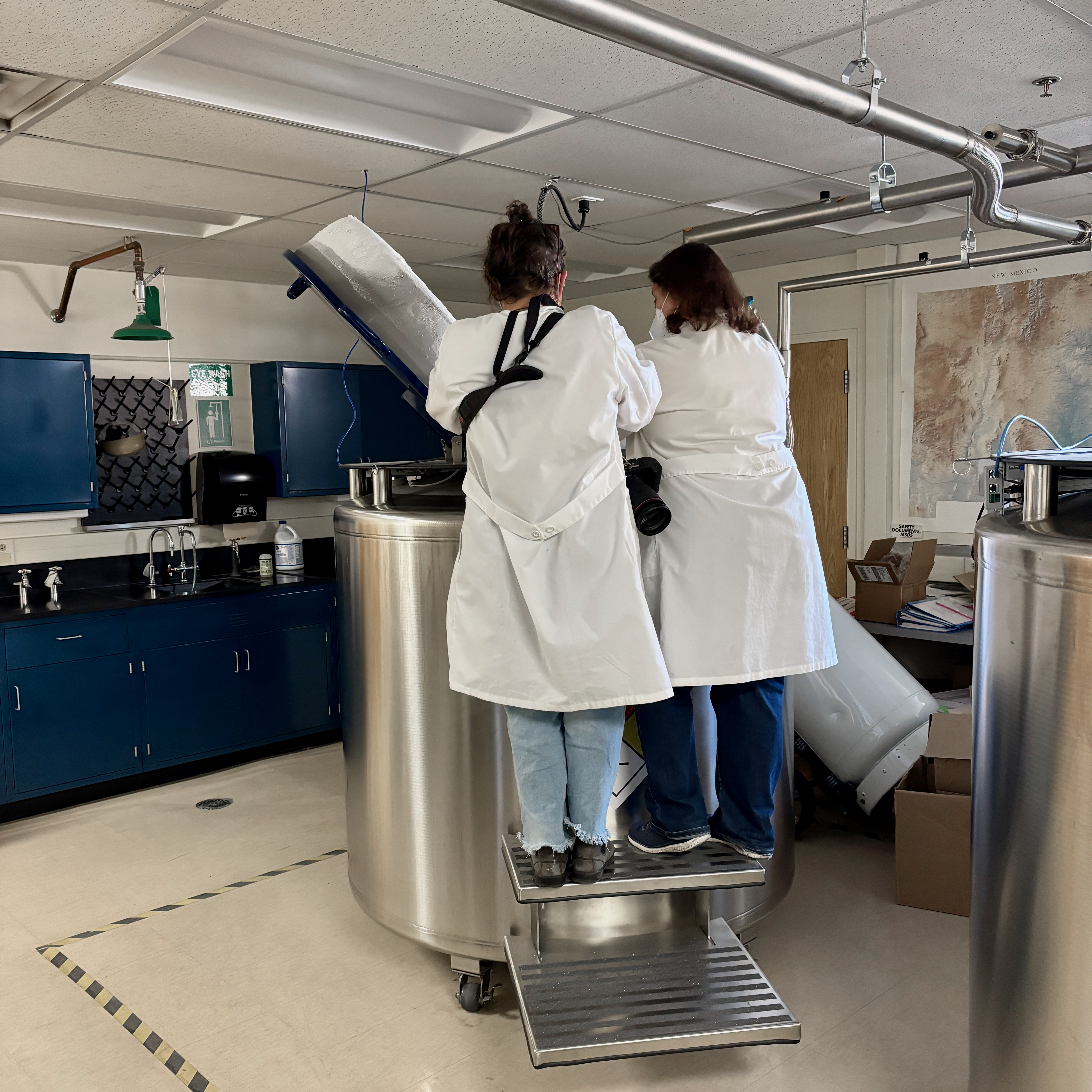 Cryogenic storage