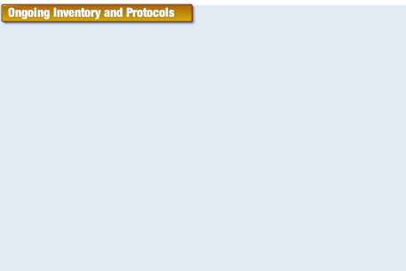 wp13adb748.png