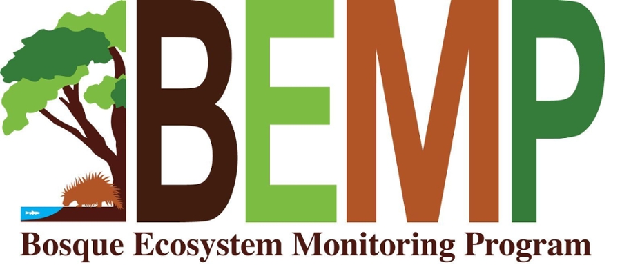 BEMP logo