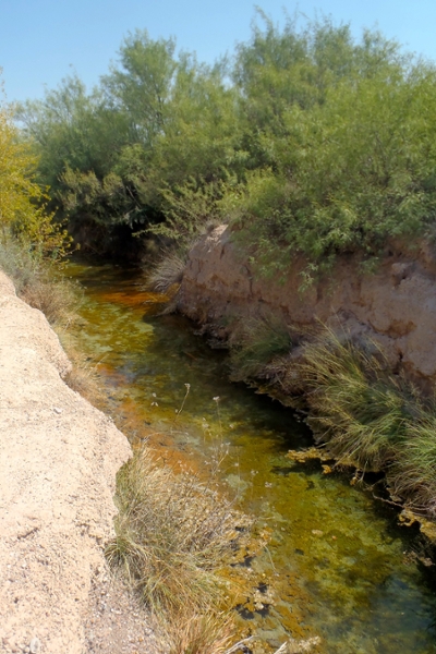 El Pandeño Spring